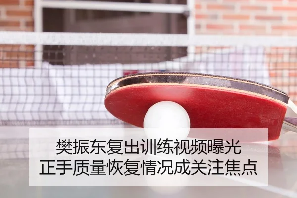 樊振东复出训练视频曝光 正手质量恢复情况成关注焦点 | Leyu